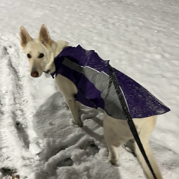Baydog Other - Dog Coat